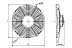 62080084s1b_f1