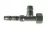 82d80808fc029ea
