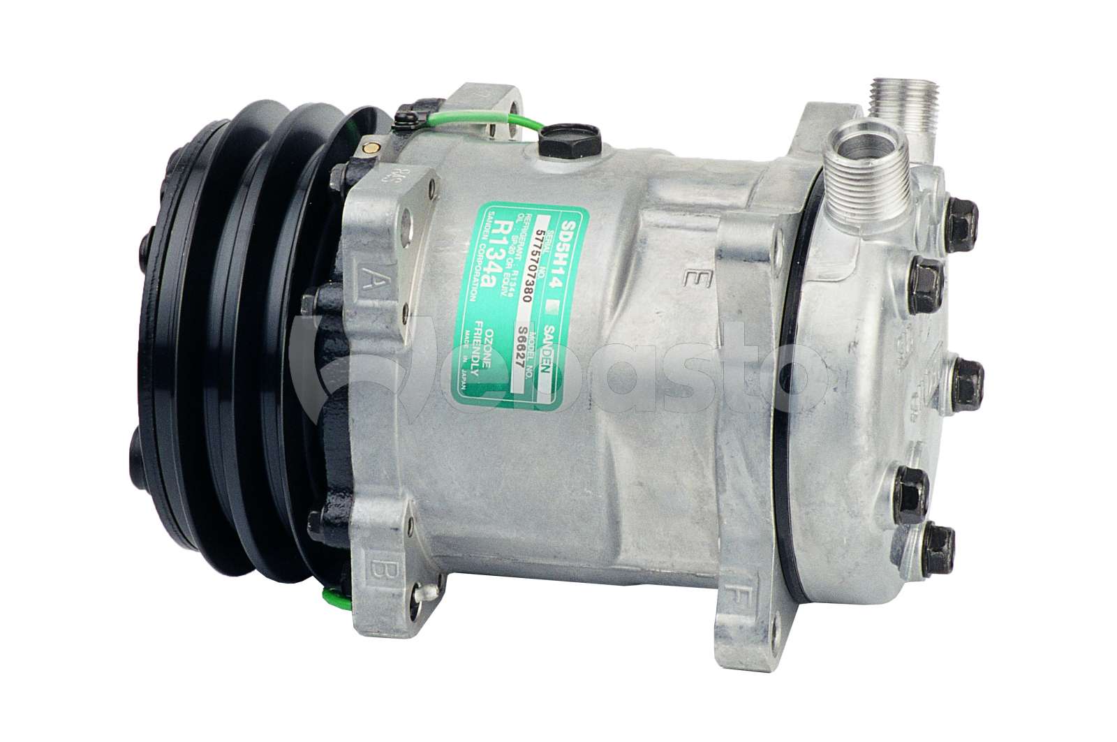 015556s